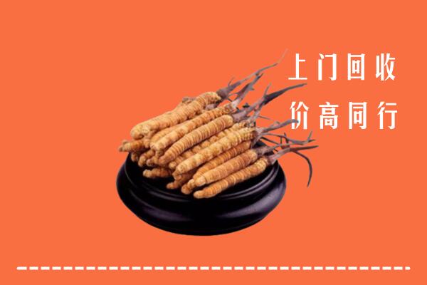 临川区回收冬虫夏草