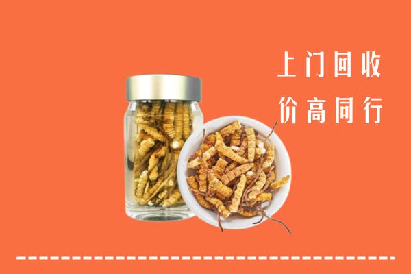 高价求购:临川区回收冬虫夏草